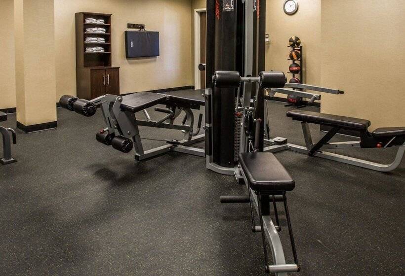 酒店 Comfort Inn Sylva  Cullowhee