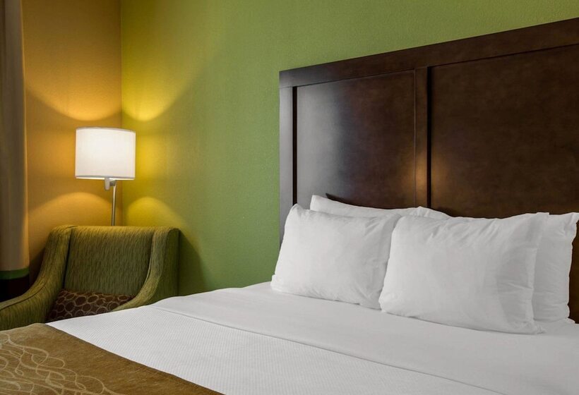 酒店 Comfort Inn Sylva  Cullowhee