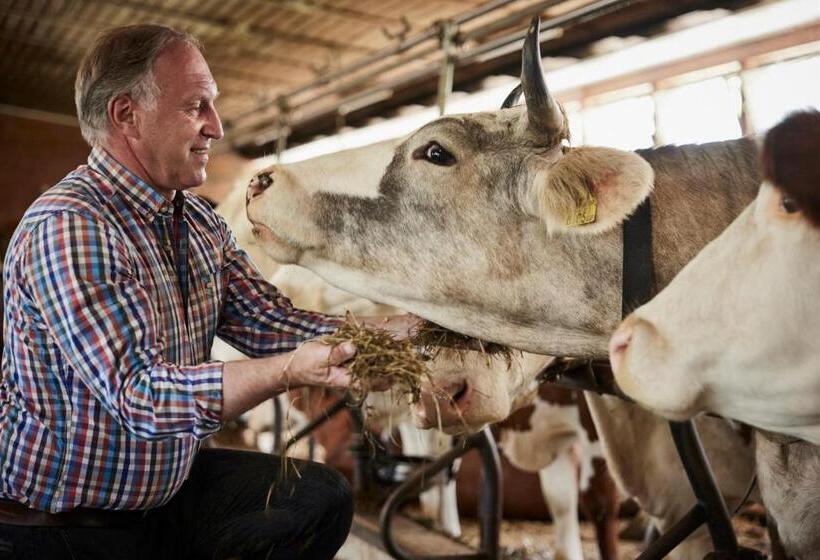 בית מלון כפרי Der Brandstetterhof   Adults Only