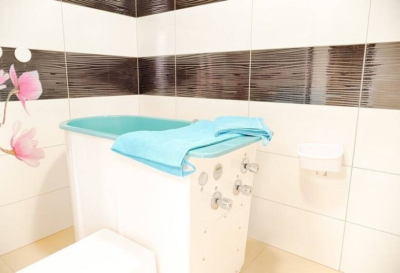 Dom Kuracyjny Hotel Messa