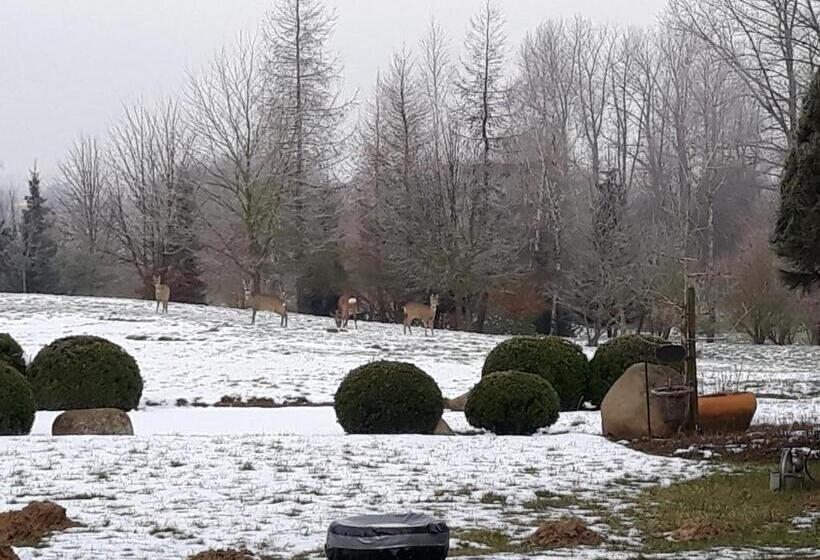 Отель Dworek Nad Regą