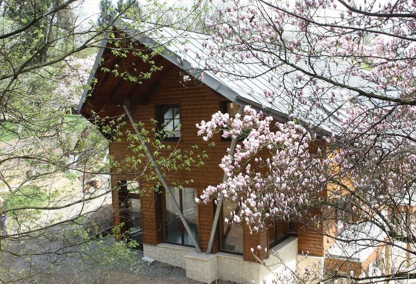 酒店 Ekosamotnia Eco Dream Pension