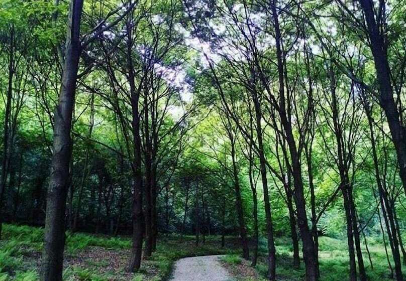 酒店 Ekosamotnia Eco Dream Pension