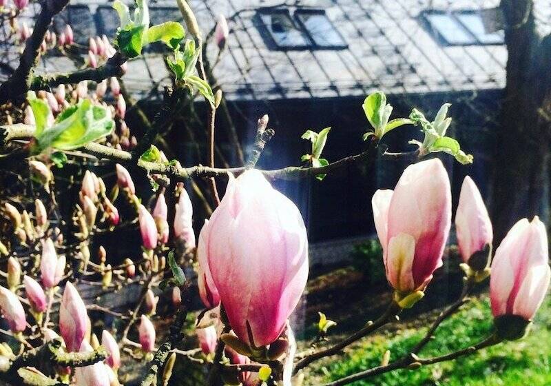 酒店 Ekosamotnia Eco Dream Pension