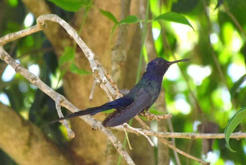 בית מלון כפרי Grimms Pousada De Contos