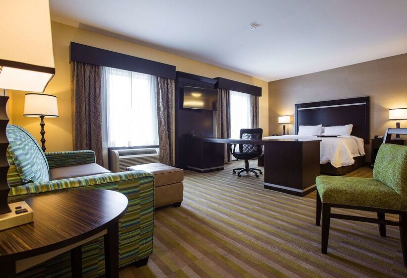 هتل Hampton Inn & Suites Toledo/westgate