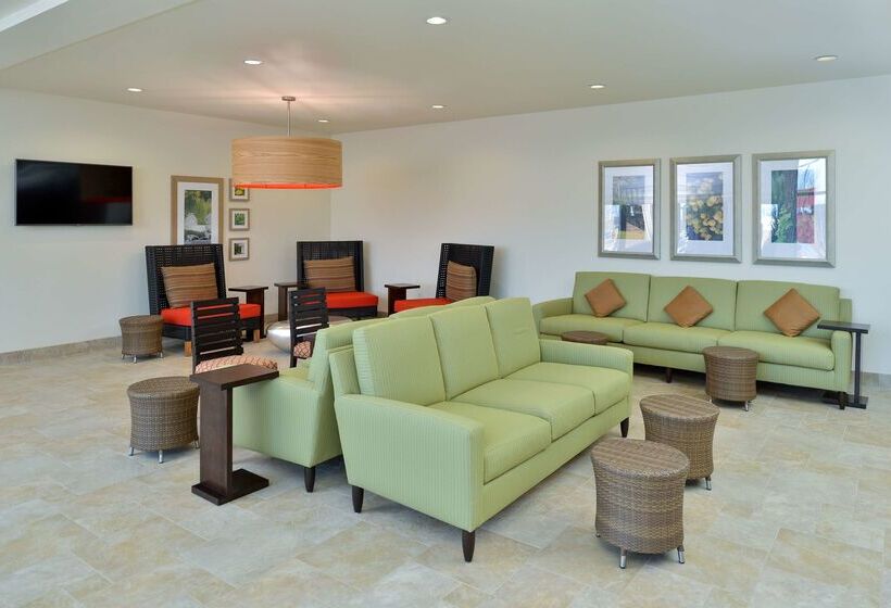 فندق Hilton Garden Inn Cincinnati/west Chester