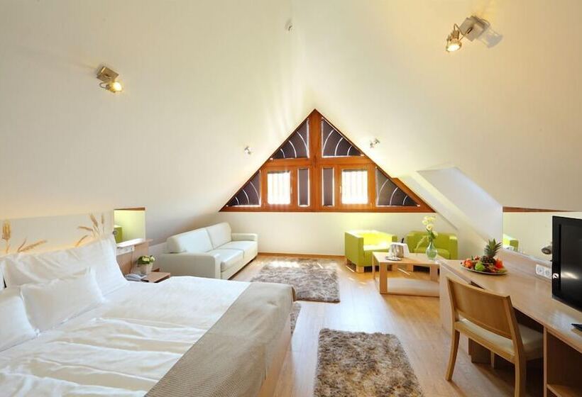 ホテル Historia Malomkert