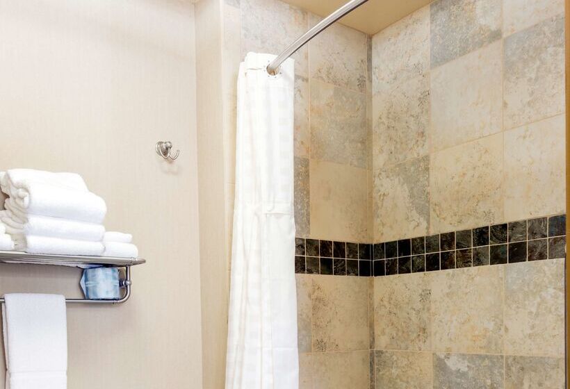 Отель Homewood Suites By Hilton Billings, Mt