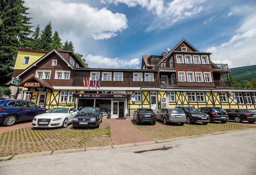 בית מלון כפרי Jelinek