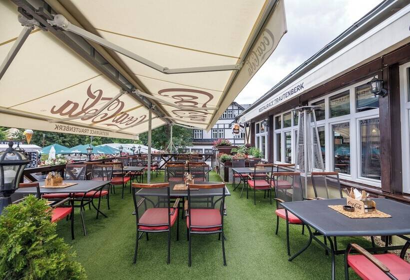 בית מלון כפרי Jelinek