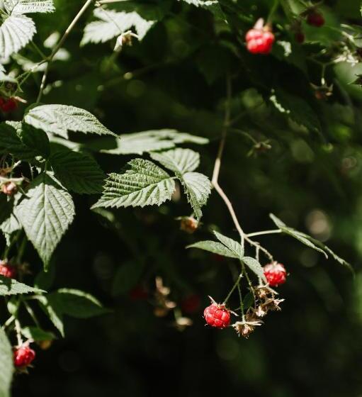 ホテル Mala Praha