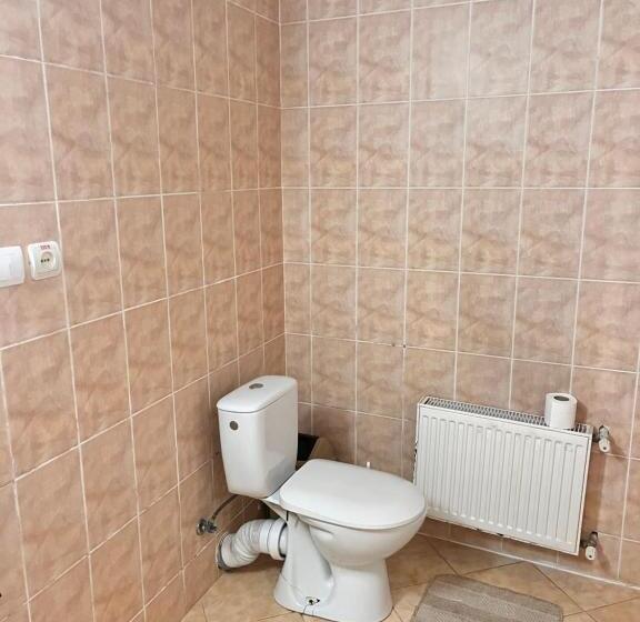 ホテル Mala Praha