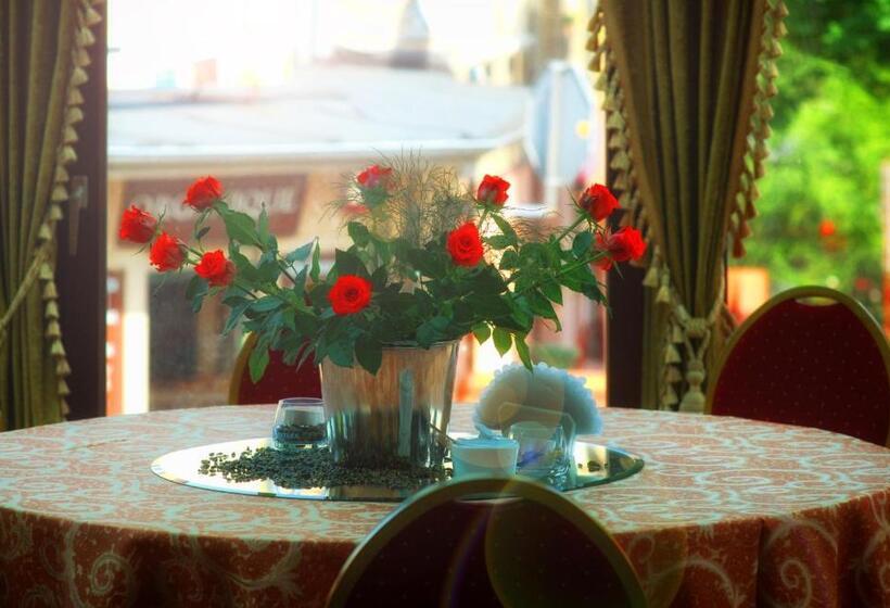 فندق Maria Helena