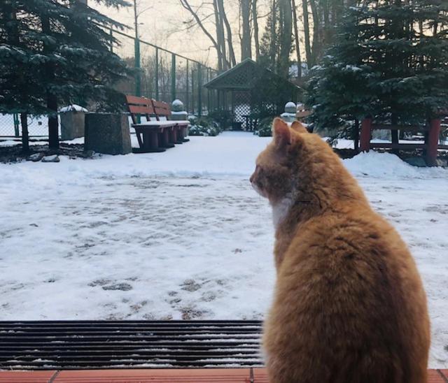 Отель Willa Miłosna