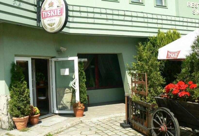 בית מלון כפרי śnieżnik