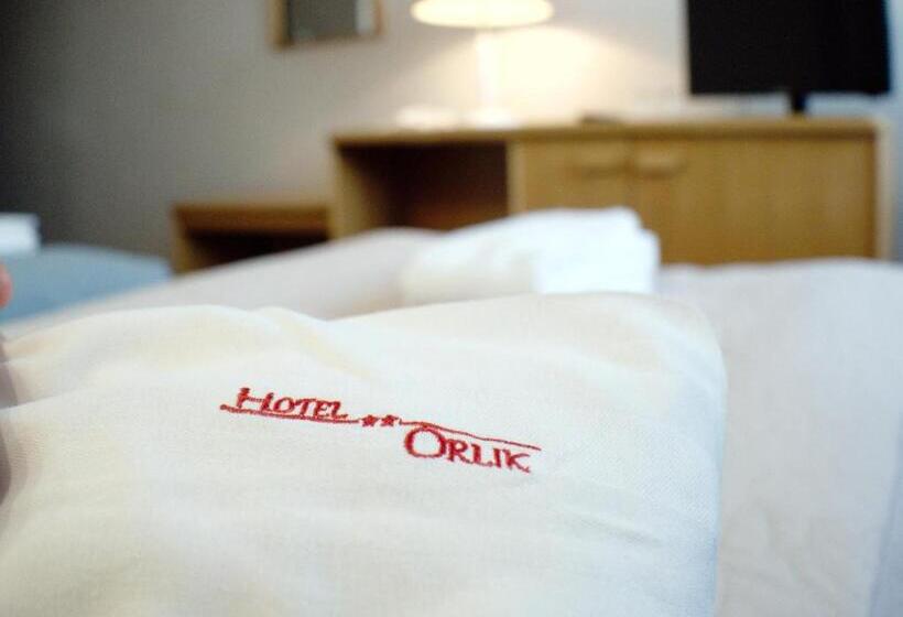 Отель Orlik