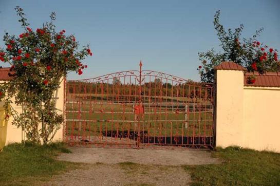 Отель Pensjonat Stadnina Red Lion Farm