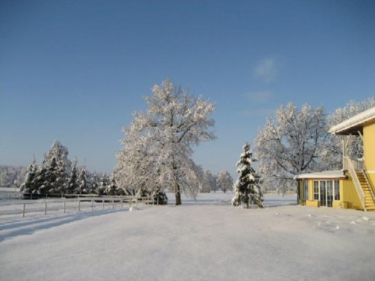 Отель Pensjonat Stadnina Red Lion Farm