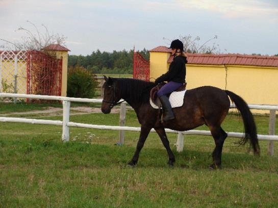 Отель Pensjonat Stadnina Red Lion Farm