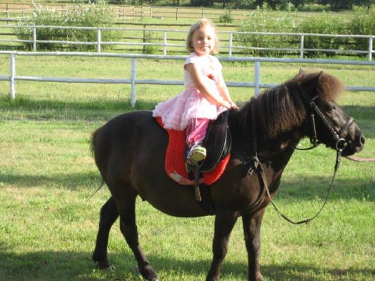 Отель Pensjonat Stadnina Red Lion Farm