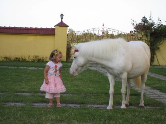 Отель Pensjonat Stadnina Red Lion Farm