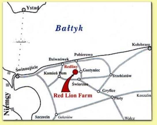 Отель Pensjonat Stadnina Red Lion Farm