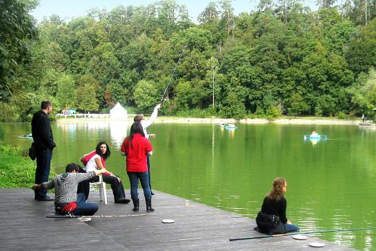 فندق Petrovodalnee Holiday