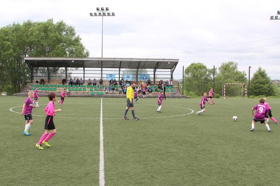 فندق Petrovodalnee Holiday