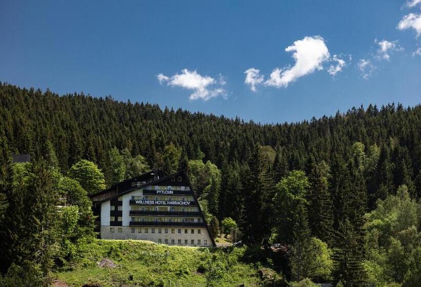 Pytloun Wellness Hotel Harrachov