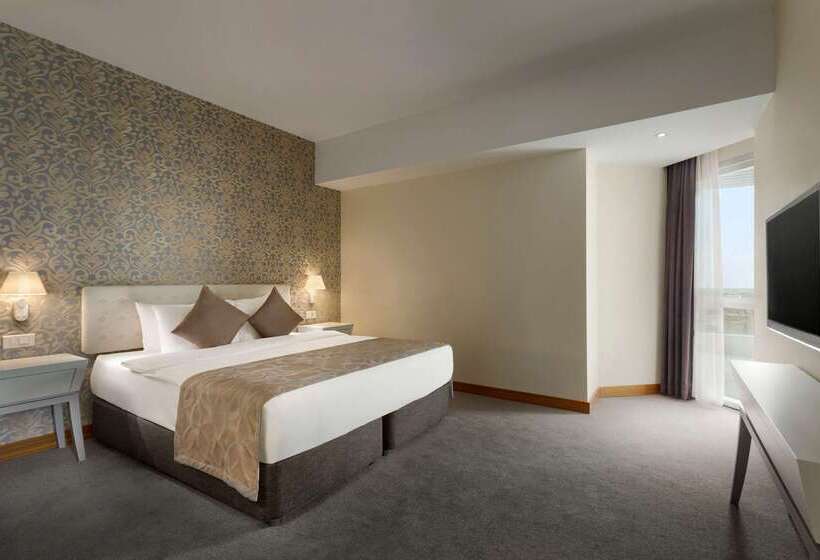 ホテル Ramada Plaza By Wyndham Istanbul Asia Airport