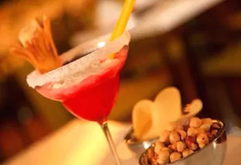 ホテル Ramada Plaza By Wyndham Istanbul Asia Airport