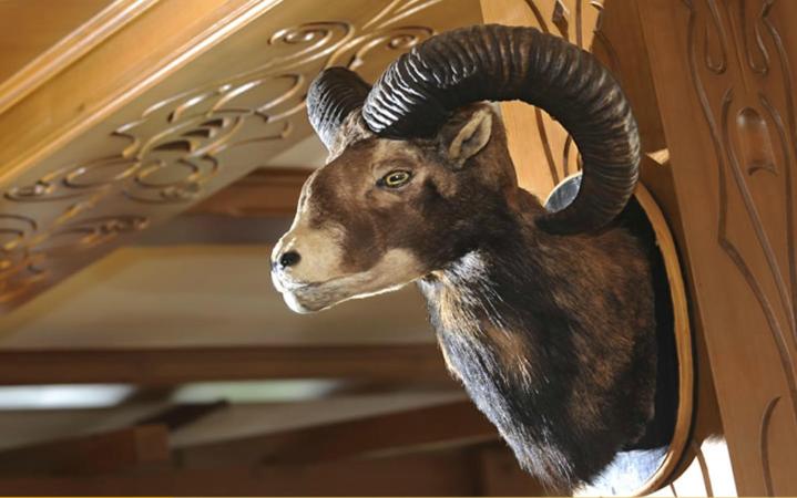 Отель Restaurant Rössli