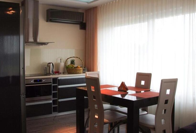 בית מלון כפרי Soray