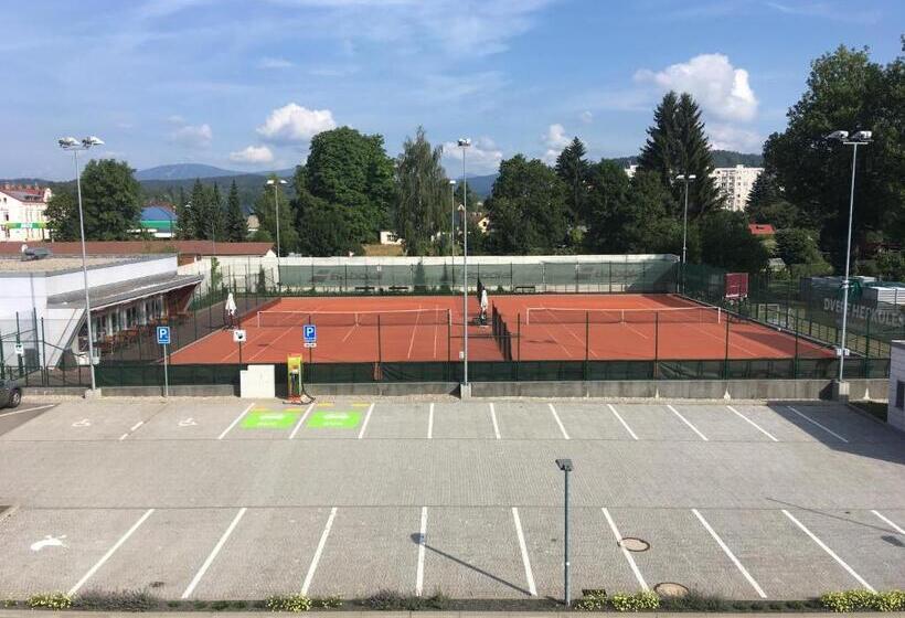 Sport & Relax Hotel Davidek