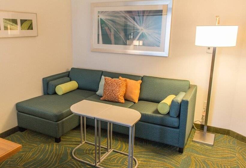 Отель Springhill Suites By Marriott Sumter