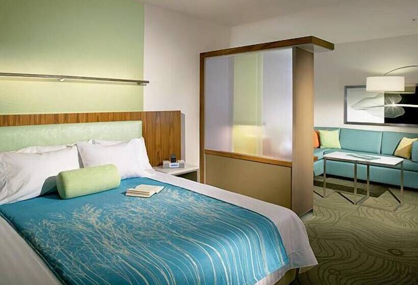 Отель Springhill Suites By Marriott Sumter