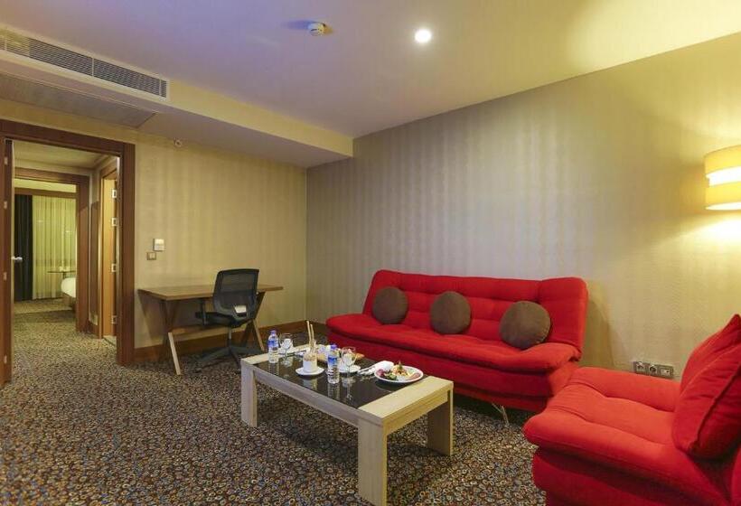 هتل Teymur Continental