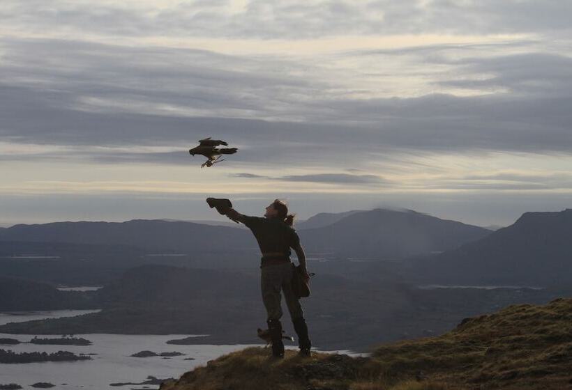 فندق The Lodge At Ashford Castle