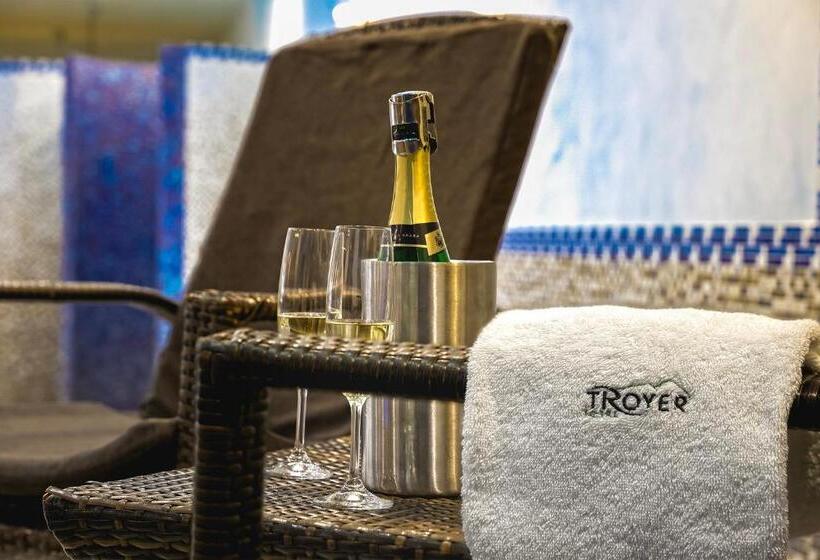 فندق Troyer