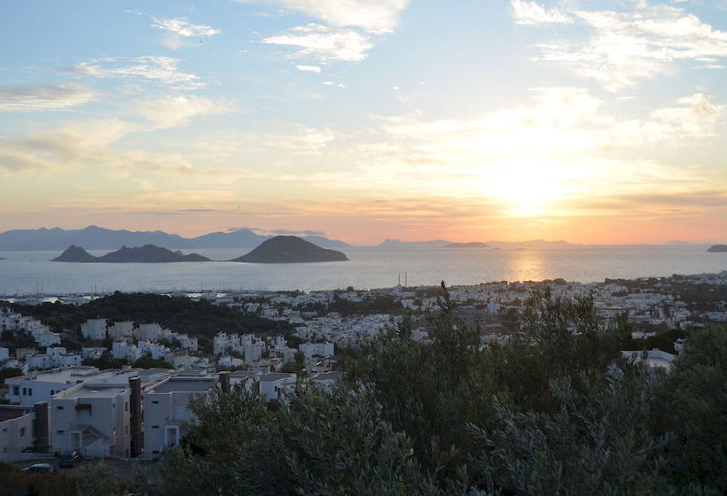 酒店 Turkbuku Hill