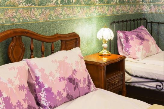 酒店 Tverskaya Loft