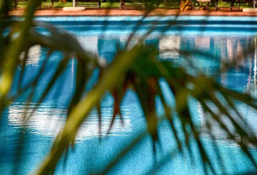 فندق Villa Maremonti