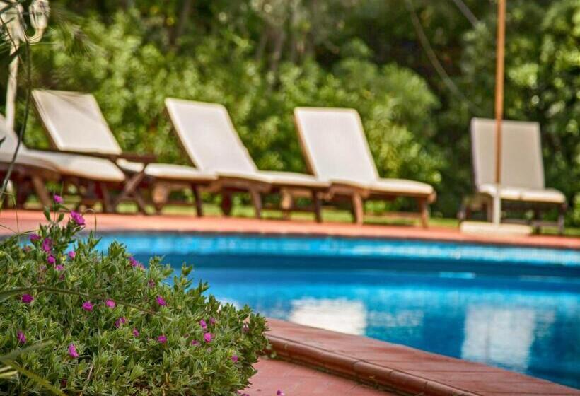 فندق Villa Maremonti