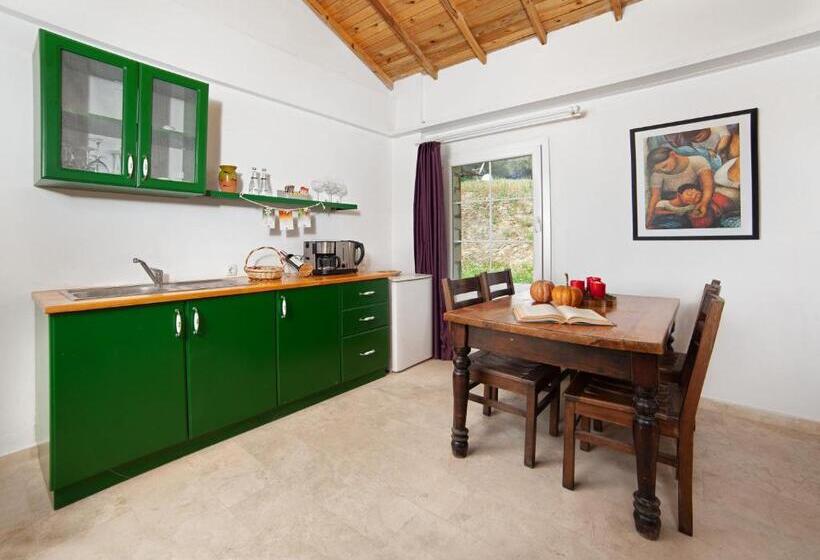 هتل Vinifera Vineyards