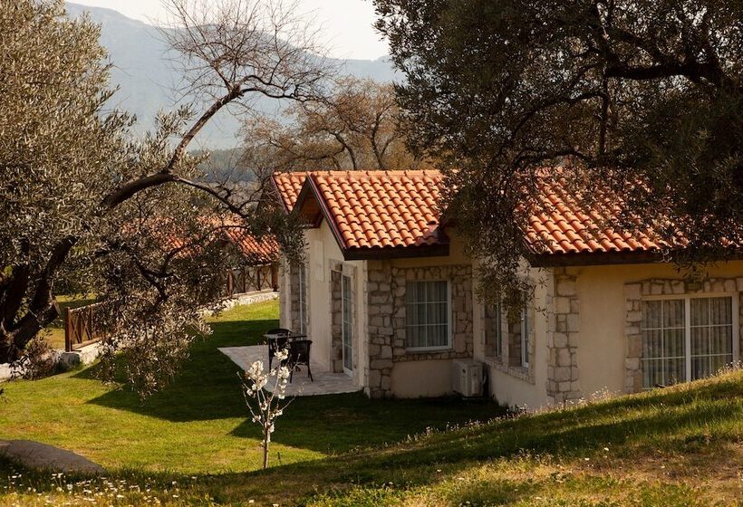 هتل Vinifera Vineyards