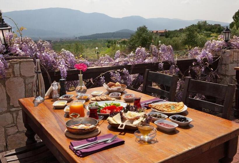 هتل Vinifera Vineyards