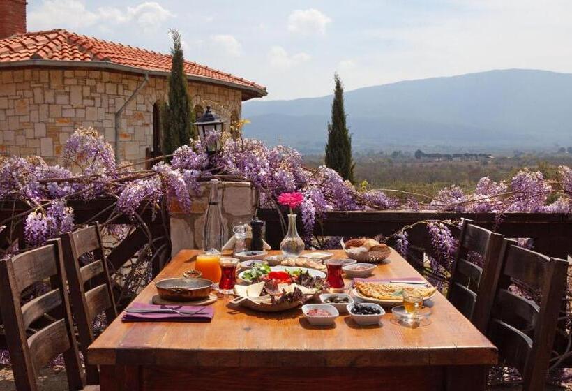 هتل Vinifera Vineyards