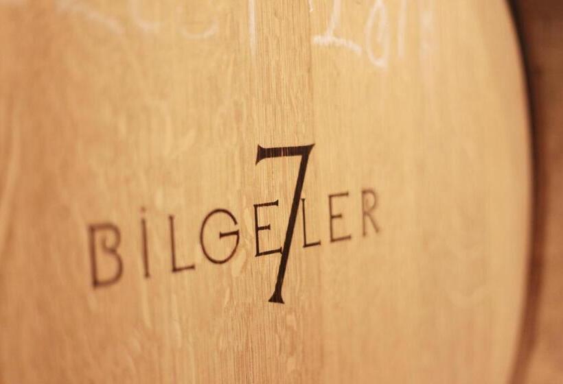 هتل Vinifera Vineyards