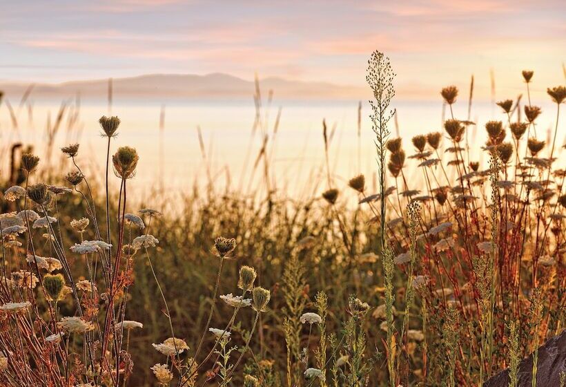 酒店 Worldmark Birch Bay
